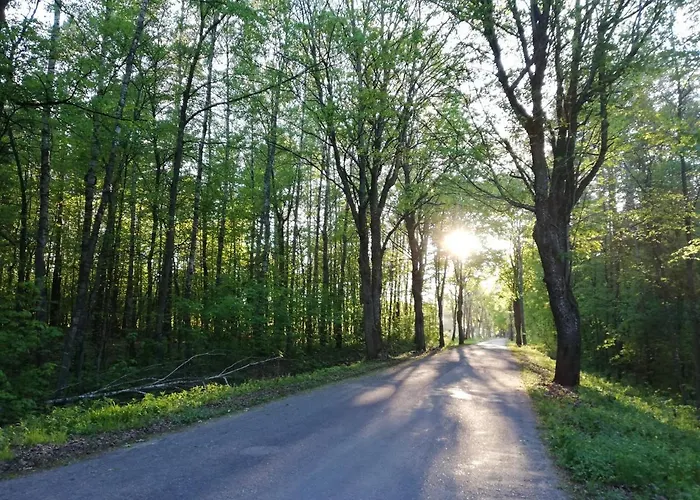 Dom Z Bala Sosnowy *