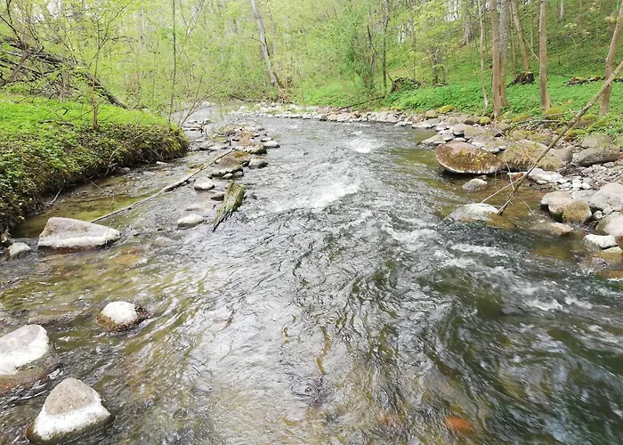 Dom Z Bala Sosnowy Holiday home *