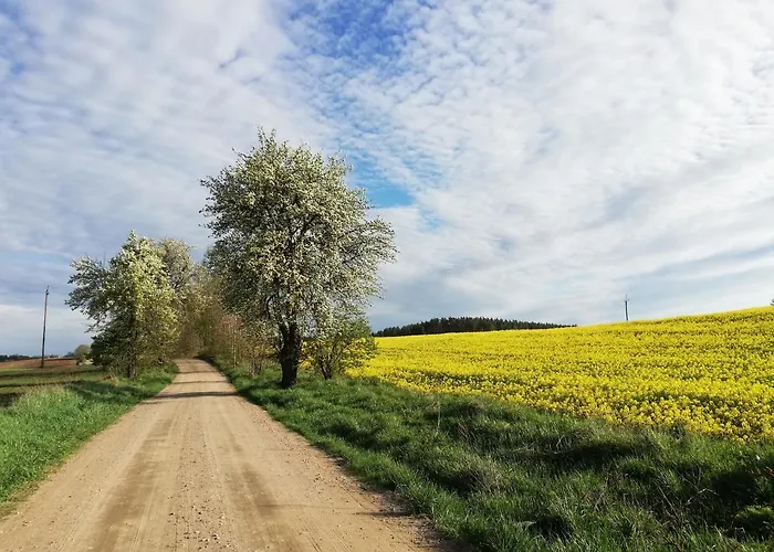 Dom Z Bala Sosnowy * Mragowo