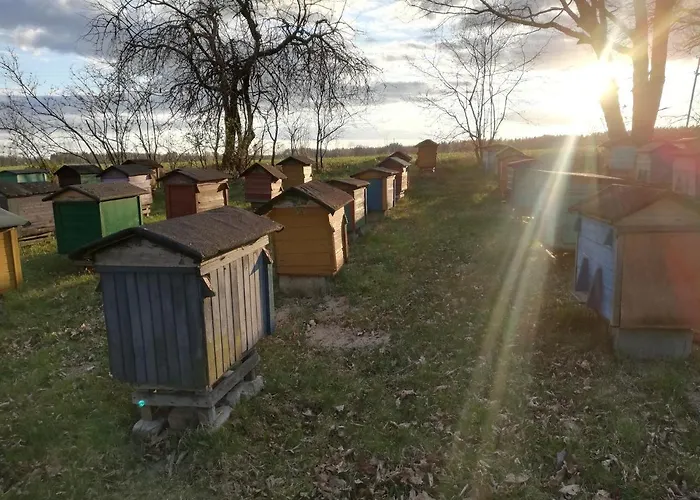 Dom Z Bala Sosnowy Holiday home *